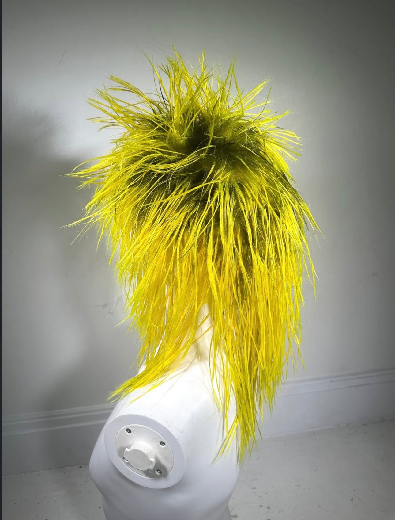 VERNUM CAUTION CROWN